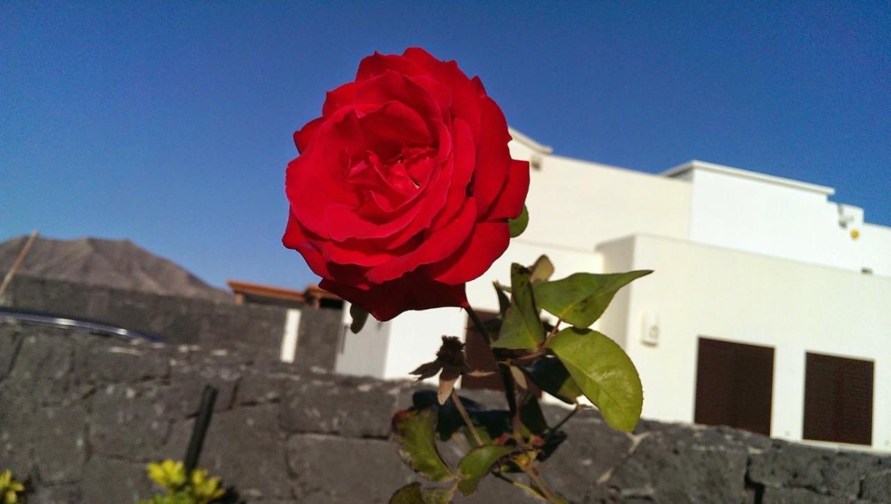 Villa Celeste Playa Blanca Dış mekan fotoğraf
